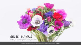 R. Naujalienės gėlių realizavimo įmonė webpage