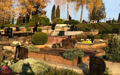 Rudaminos kapinės
